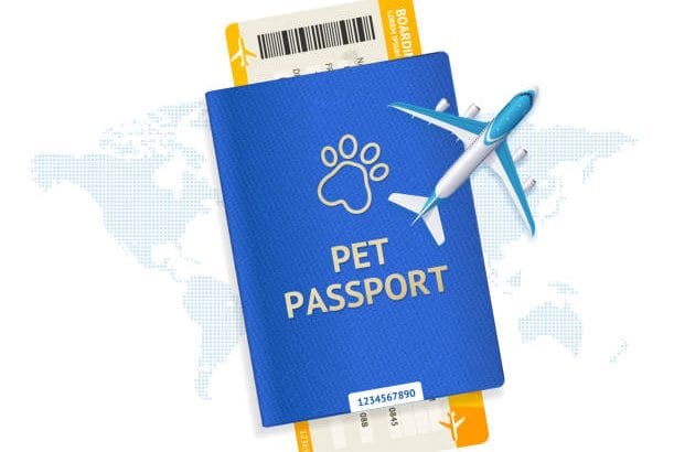 Evcil Hayvan Pasaportu Nedir ve Neden Önemlidir?