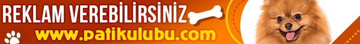 banner-728x90